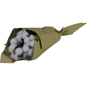 Cotton bush in paper bag 50cmL