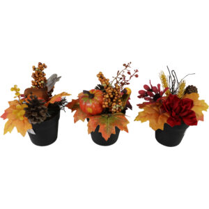 Autumn flowers in plastic pot 16-18cmH