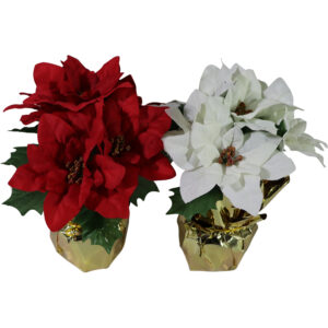 Poinsettia w/metallic wrap 29cmH