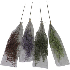 Lavender bush 74cmH