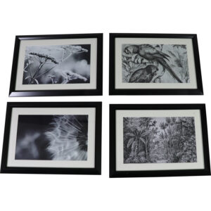 Art print framed 37x27cm