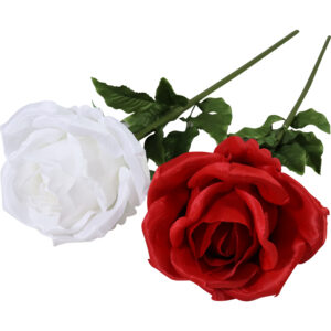 Rose single 105cmL