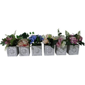 Assorted flowers in cement pot 15-18 cmH