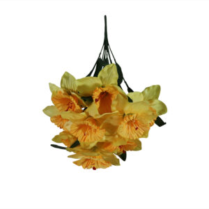 Daffodil bush 44cmH
