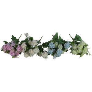Phlox bush 30cmL