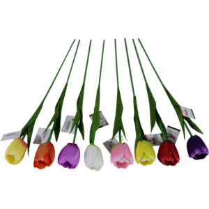 Single tulip 50cmL