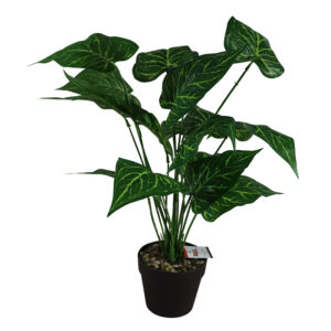 Green leaf plant 55cmH