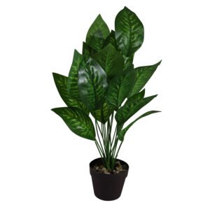 Green leaf plant 55cmH