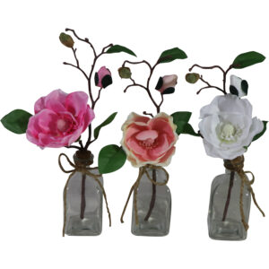 Magnolia in glass vase 32cmH
