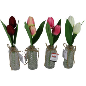 Tulip in glass vase 30cmH