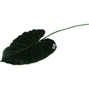 Single leaf 73cmL
