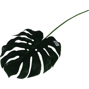Single leaf 70cmL