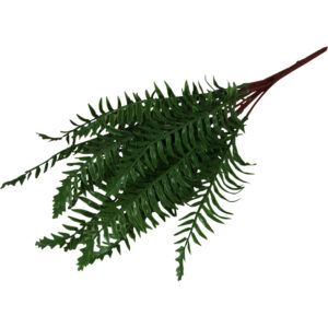 Fern bundle 48cmL