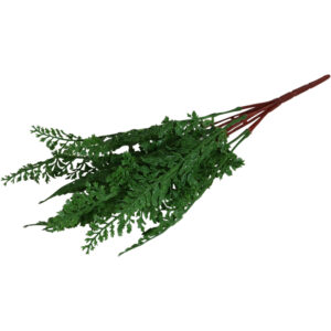 Fern bundle 46cmL