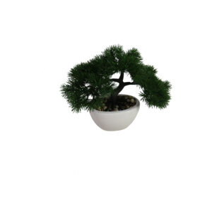 Bonsai tree in ceramic pot 24cmH