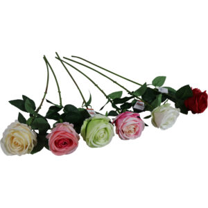 Single rose 76cmL
