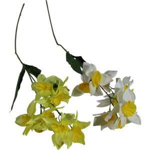 Narcissus spray 70cmL