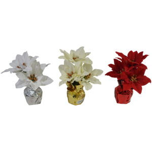 Poinsettia w/metallic wrap 20cmH