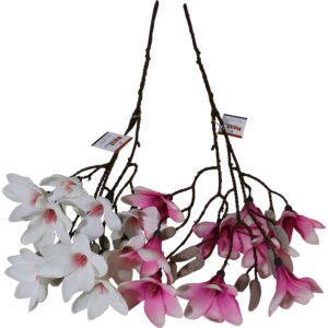 Magnolia spray 75cmL
