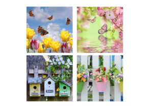 Art Print garden 45x45cm