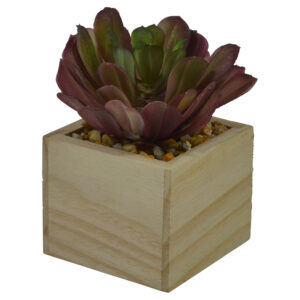 Plant in mdf pot