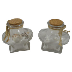 Glass bottle star w/cork 10x5.5x9cm