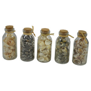 Glass bottle w/shells XS dia 5x11cm