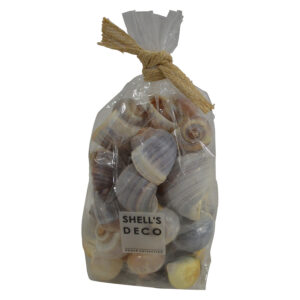 Decoration shells