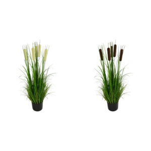 Grass w/ bulrush in pot M
