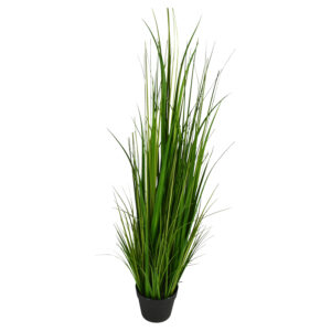 Grass in plastic pot 120cmh
