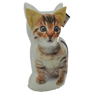 door stopper cat