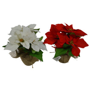 Poinsettia in burlap wrapped vase M 25cmH