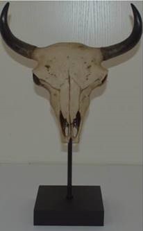 Polyresin deer head with base