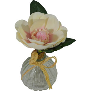 Magnolia in glass vase