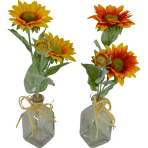 Sunflower in glass vase