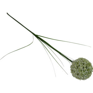 Snowbal single