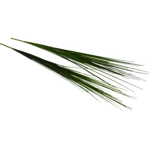 Grass spray