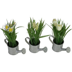 Flower in zinc watering can 20cmH