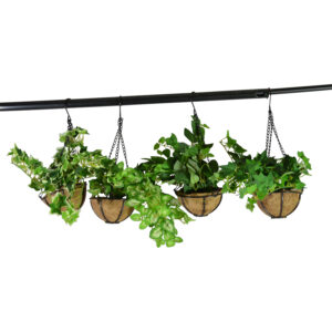 Plant in hanging basket 18cmH