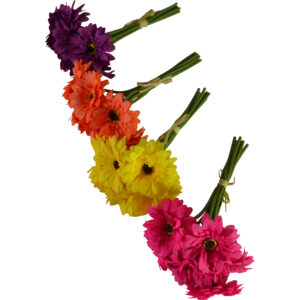 Gerbera bush 23cmH with 7 flowers