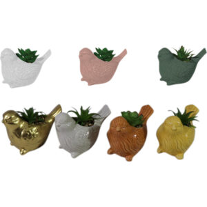 pot w/succulent 13x8x9.3cm