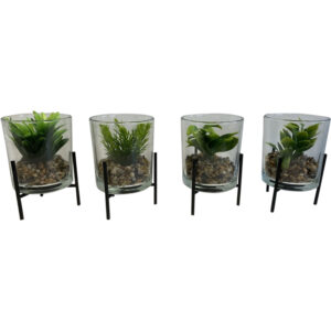 Metal holder with glass w/succulent S 9x9.5x13xm