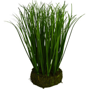 Grass on stand