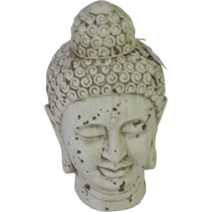 Terracotta buddha L