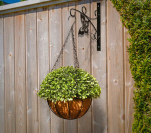 Boxwood ball on metal wall hanger S/2