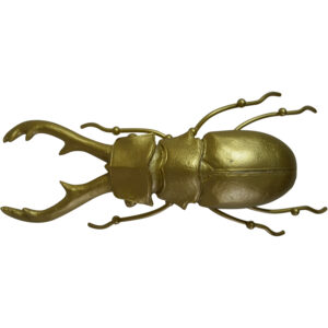 Polyresin insect