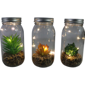 Led glass jar w/succulent L dia 8x18cm