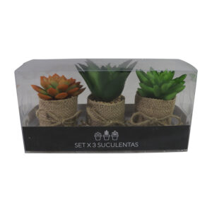 Succulent in burlap pot s/3