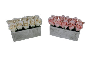 A19020465.JPG Rose in paper mache pot