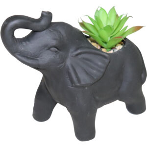 Ceramic flower pot w/succelent 13.7x7x13cm